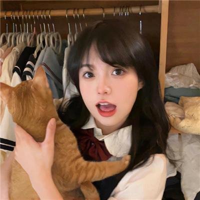 贵客光临